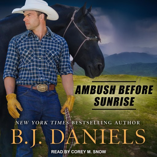 Ambush Before Sunrise, B.J.Daniels