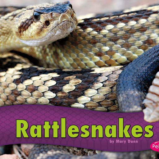 Rattlesnakes, Mary Dunn