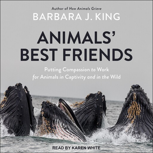 Animals' Best Friends, Barbara J. King