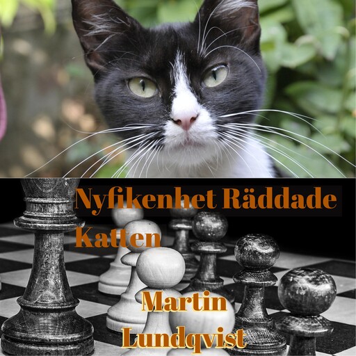 Nyfikenhet Räddade Katten, Martin Lundqvist