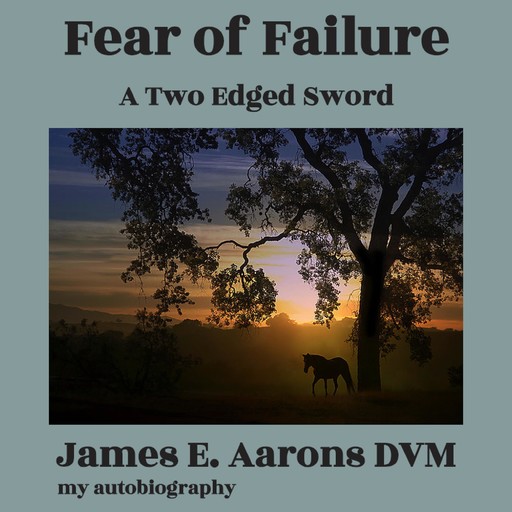 Fear of Failure, James E Aarons DVM, The ADHD, Veterinarian