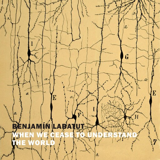 When We Cease to Understand the World, Benjamín Labatut