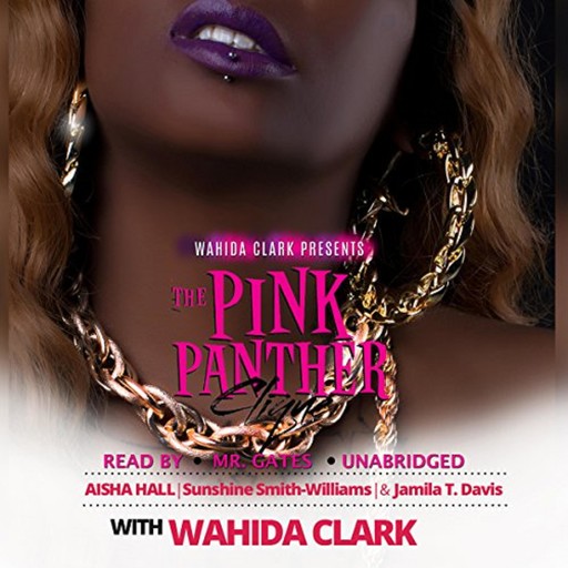 The Pink Panther Clique, Wahida Clark, Aisha Hall, Jamila Davis, Sunshine Williams