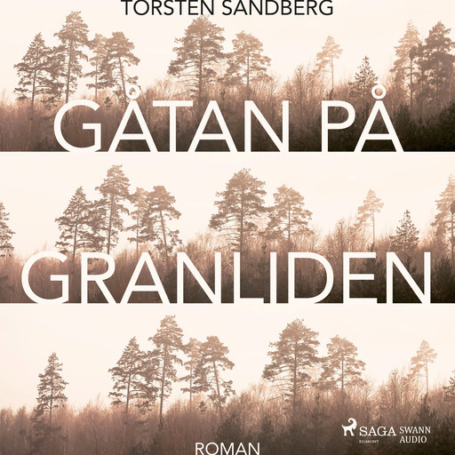 Gåtan på Granliden, Torsten Sandberg