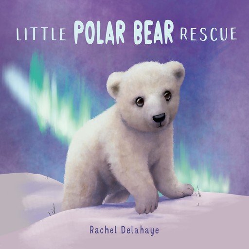 Little Polar Bear Rescue, Rachel Delahaye