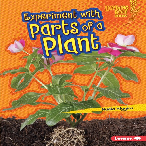 Experiment with Parts of a Plant, Nadia Higgins