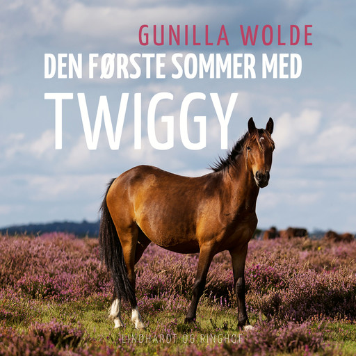 Den første sommer med Twiggy, Gunilla Wolde