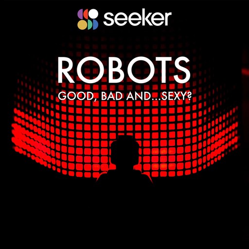 Robots: Good, Bad and...Sexy?, Seeker