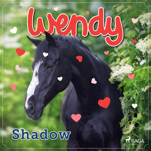 Wendy – Shadow, Diverse