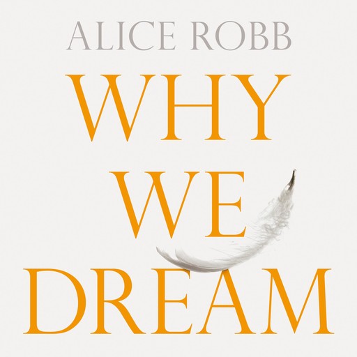 Why We Dream, Alice Robb