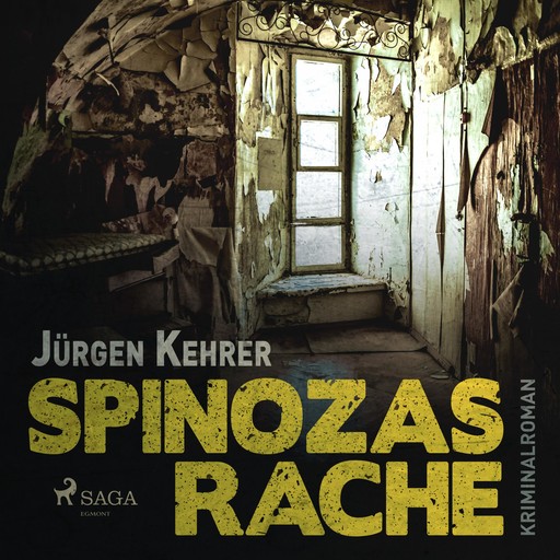 Spinozas Rache - Kriminalroman (Ungekürzt), Jürgen Kehrer
