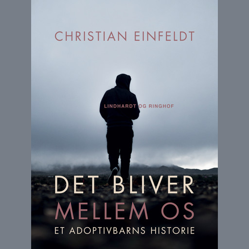Det bliver mellem os - et adoptivbarns historie, Christian Einfeldt