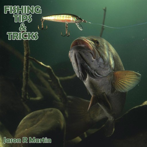 Fishing Tips & Tricks, Jason Martin