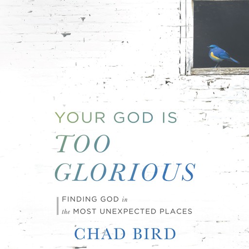 Your God Is Too Glorious, Chad Bird