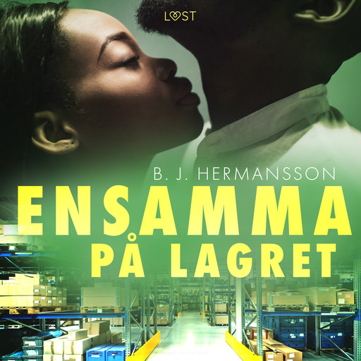 Ensamma på lagret - erotisk novell, B.J. Hermansson