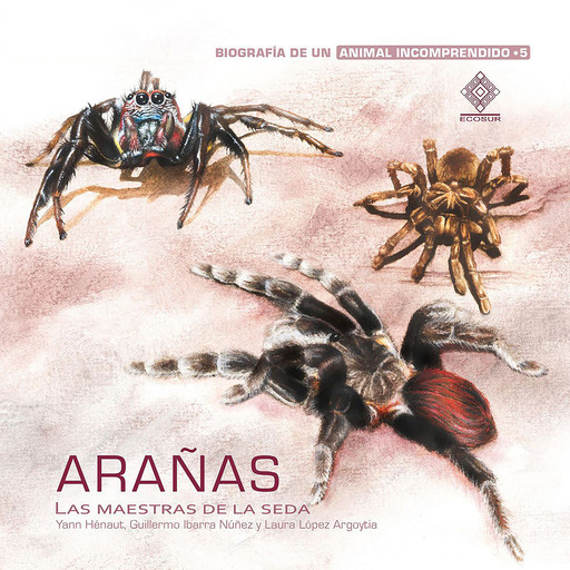 Arañas, las maestras de la seda, Laura López Argoytia, Guillermo Ibarra Nuñez
