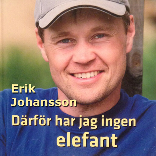 Därför har jag ingen elefant, Erik Johansson
