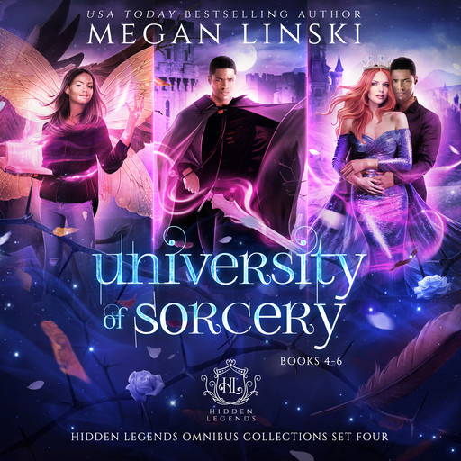 University of Sorcery, Books 4-6, Megan Linski