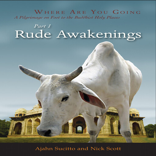 Rude Awakenings, Nick Scott, Ajahn Sucitto