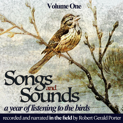 Songs & Sounds, Volume One, Robert Porter