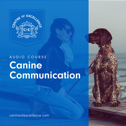 Canine Communication, Centre of Excellence