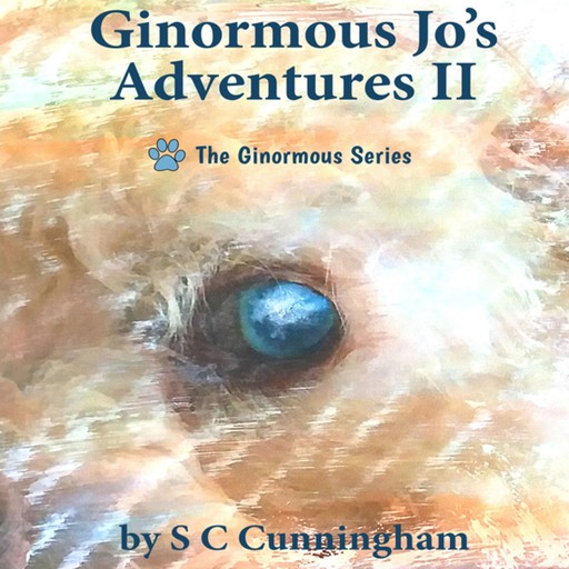 Ginormous Jo's Adventures II, S.C. Cunningham