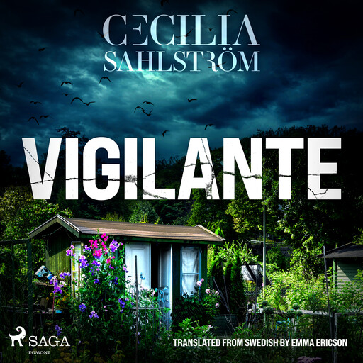 Vigilante: An authentic Swedish police procedural, Cecilia Sahlström