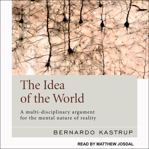The Idea of the World, Bernardo Kastrup