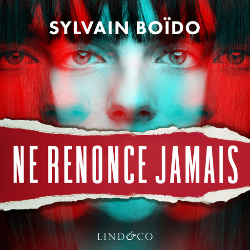 Ne renonce jamais, Sylvain Boïdo