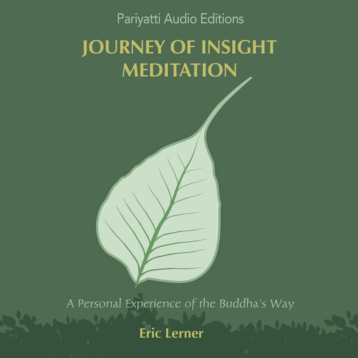 Journey of Insight Meditation, Eric Lerner