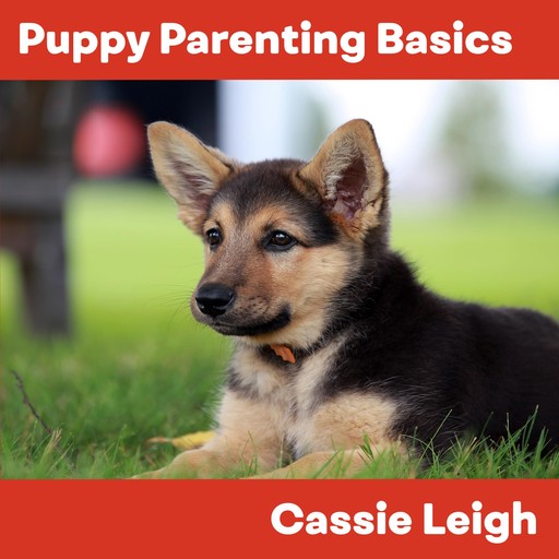 Puppy Parenting Basics, Cassie Leigh