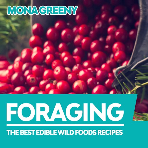 Foraging, Mona Greeny