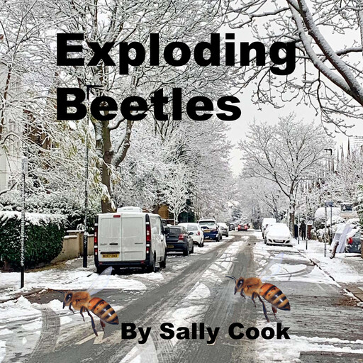 Exploding Beetles, Sally Cook