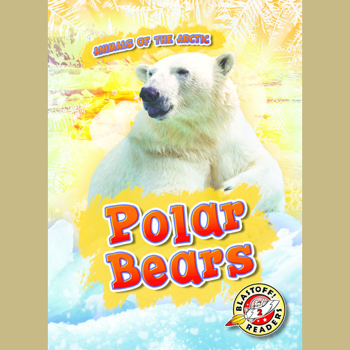 Polar Bears, Rebecca Pettiford
