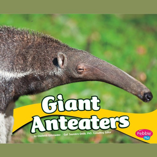 Giant Anteaters, Chadwick Gillenwater