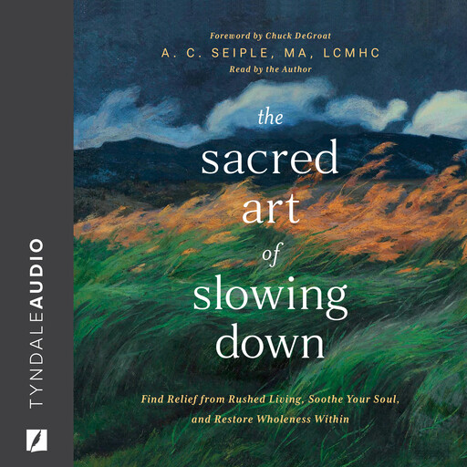 The Sacred Art of Slowing Down, Anna Christine Seiple