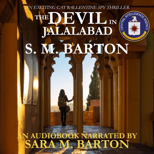 The Devil in Jalalabad, S.M. Barton
