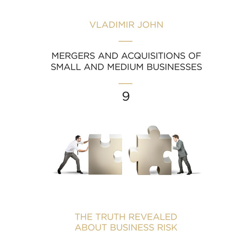 Mergers and acquisitions of small and medium businesses, Vladimir John