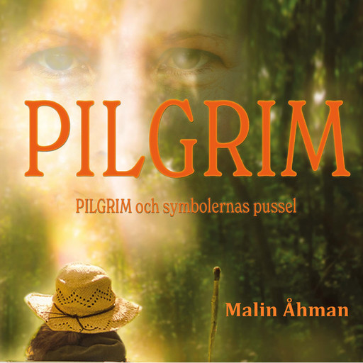 Pilgrim och symbolernas pussel, Malin Åhman