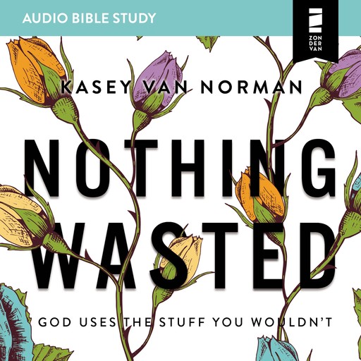 Nothing Wasted: Audio Bible Studies, Kasey Van Norman