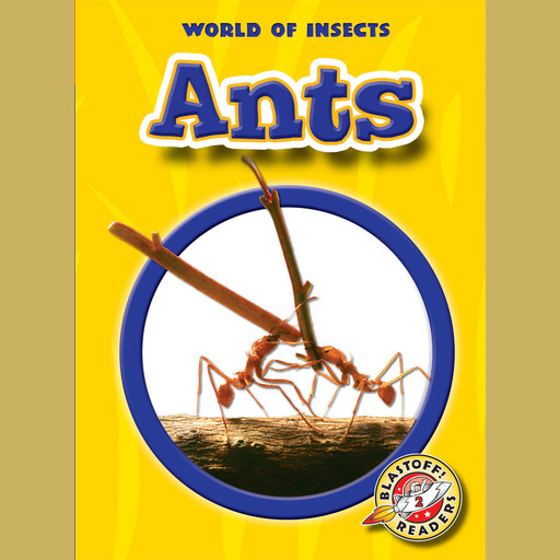 Ants, Emily K. Green