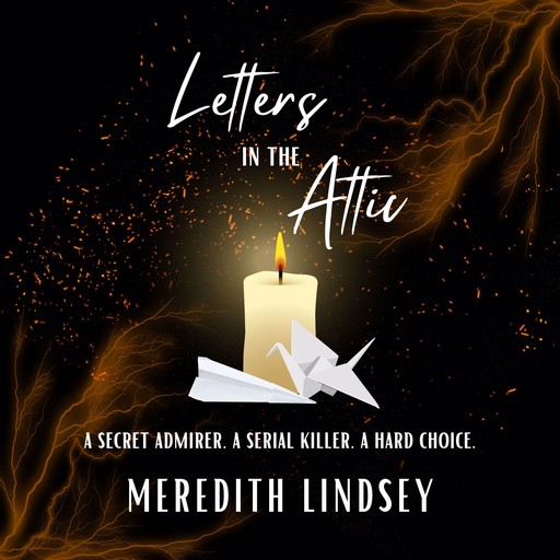 Letters in the Attic, Meredith Lindsey