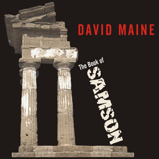 The Book of Samson, David Maine