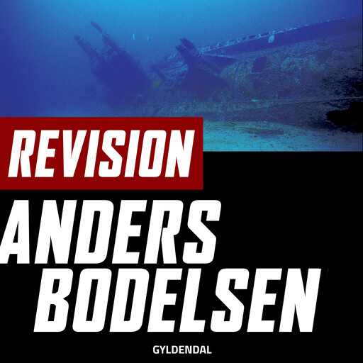 Revision, Anders Bodelsen