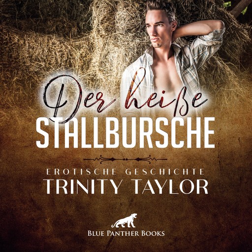 Der heiße Stallbursche / Erotische Geschichte, Trinity Taylor