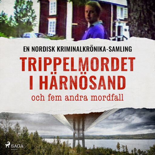 Trippelmordet i Härnösand och fem andra mordfall, Diverse