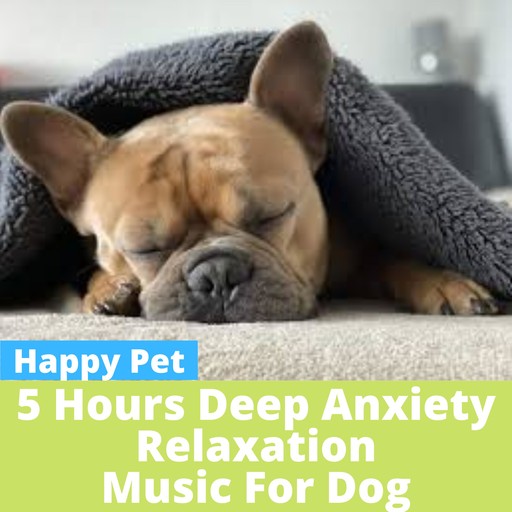 5 HOURS of Anxiety Relax Music for Dog, Happy Pet