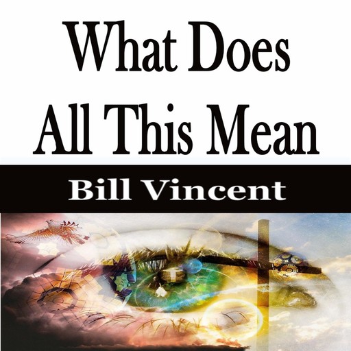 What Does All This Mean, Bill Vincent