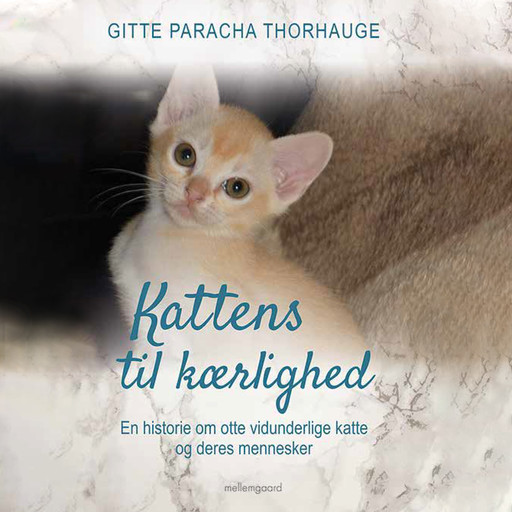 Kattens til kærlighed - En historie om otte vidunderlige katte og deres mennesker, Gitte Paracha Thorhauge