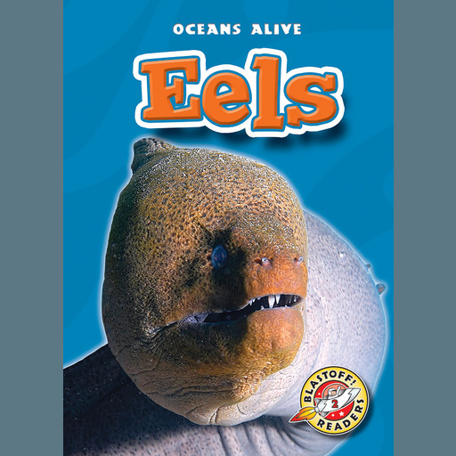 Eels, Derek Zobel